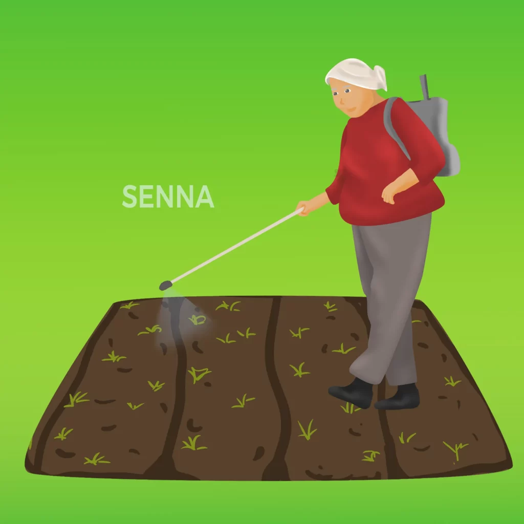 Kemasan Packaging Pestisida